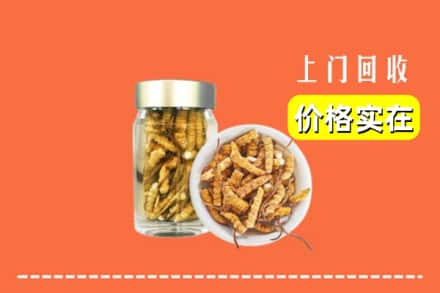 收购资讯:辉南县回收散虫草
