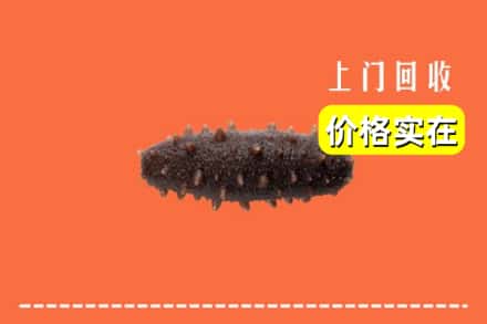 收购资讯:辉南县回收海参